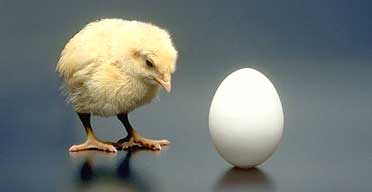Psychology chickenegg GMAT Psychology and Timing Strategies
